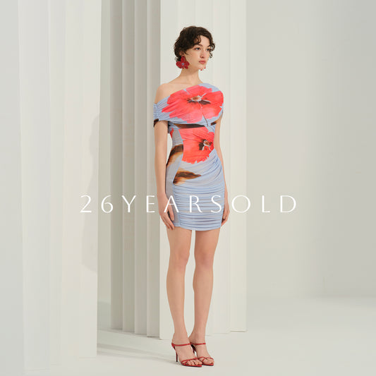 26YEARSOLD Vernal Undulation Dresse - Elegant Chiffon Dress