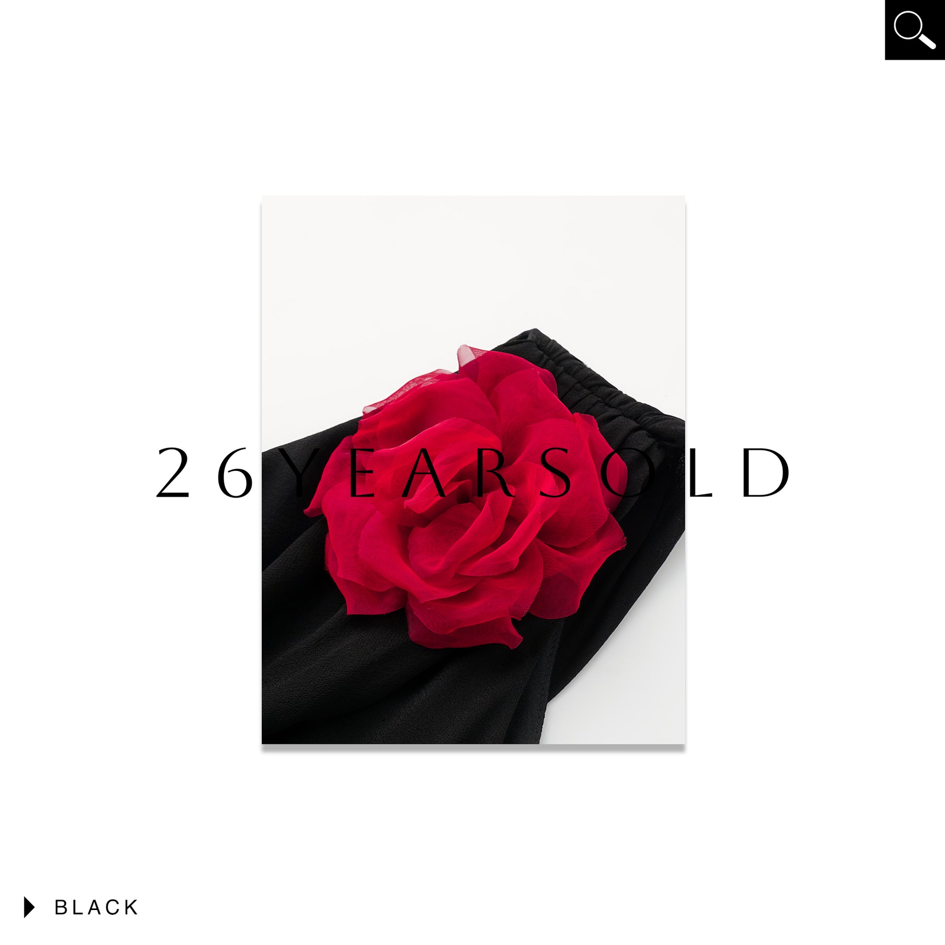 26YEARSOLD Midnight Rose Noir Dresses