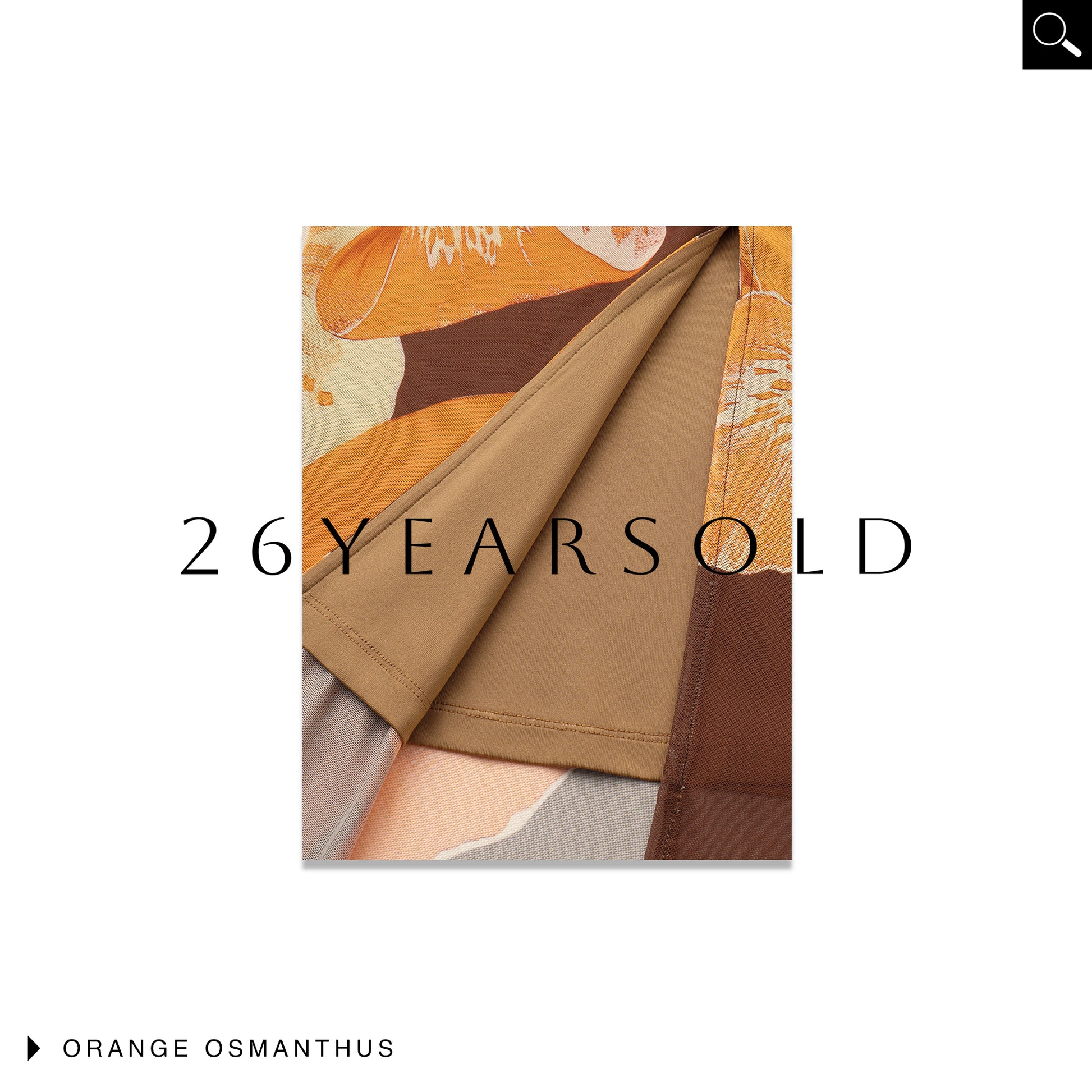 26ÉDITION Penumbral Dialogue