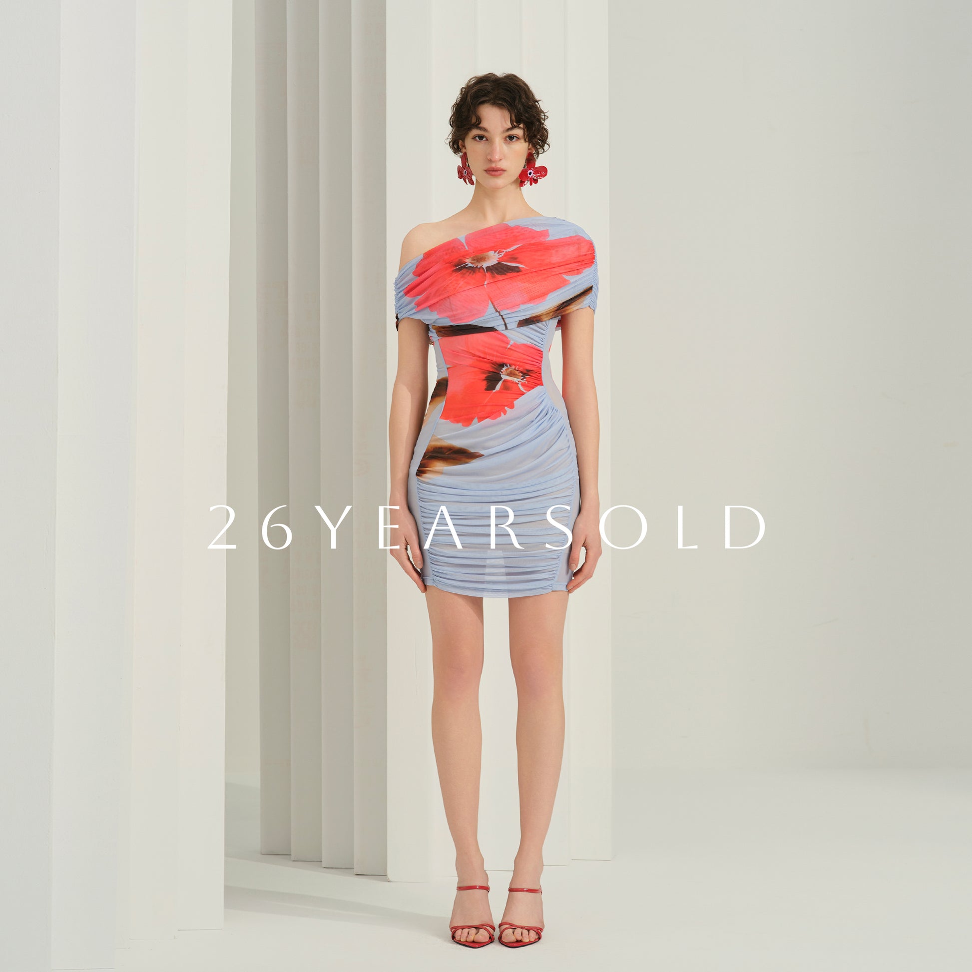 26YEARSOLD Vernal Undulation Dresse - Elegant Chiffon Dress Blue-Red Floral