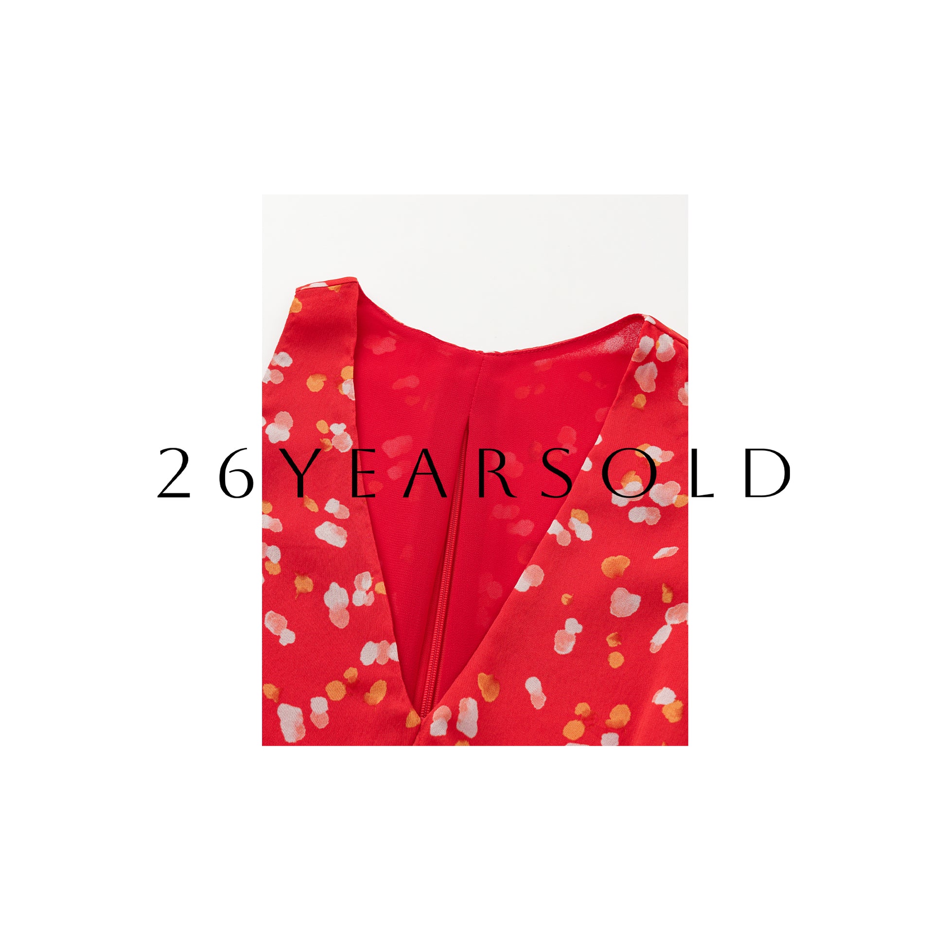 26YEARSOLD Silk Blend Impressionist Polka Dot Tie Neck Top
