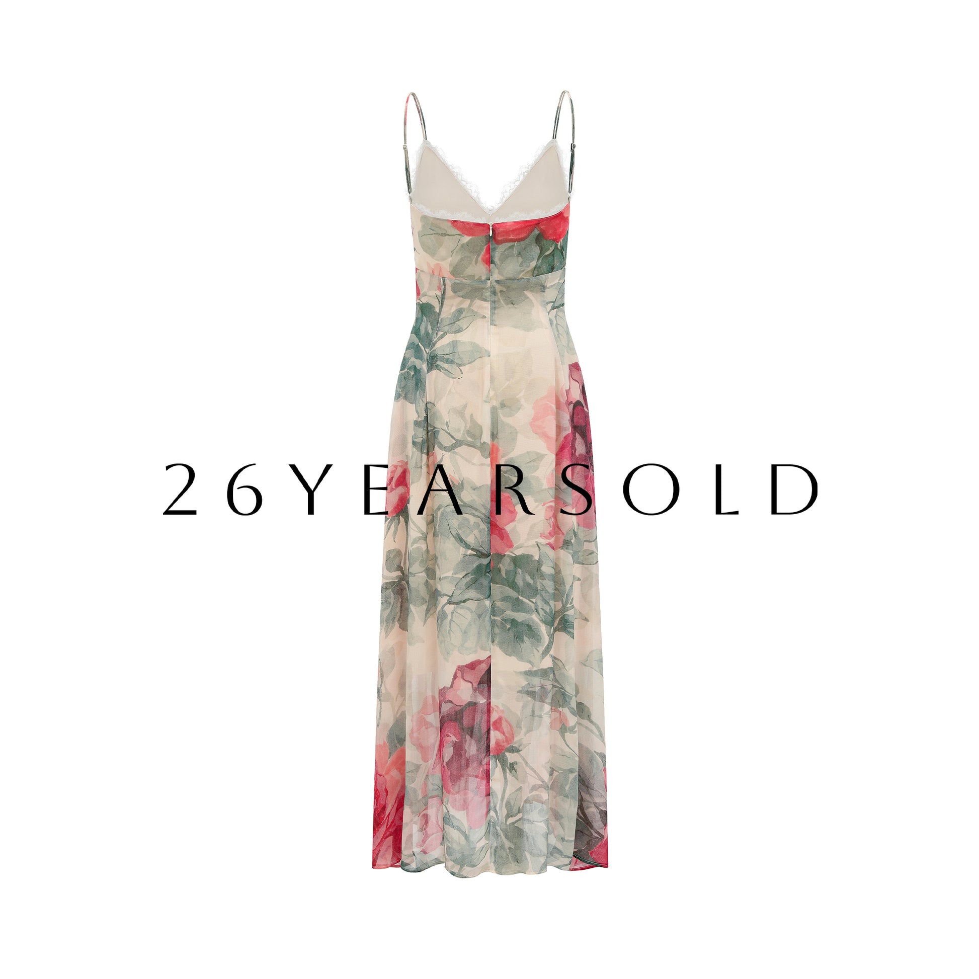26YEARSOLD Rose Mist Silk-Blend Lace Maxi Slip Dress