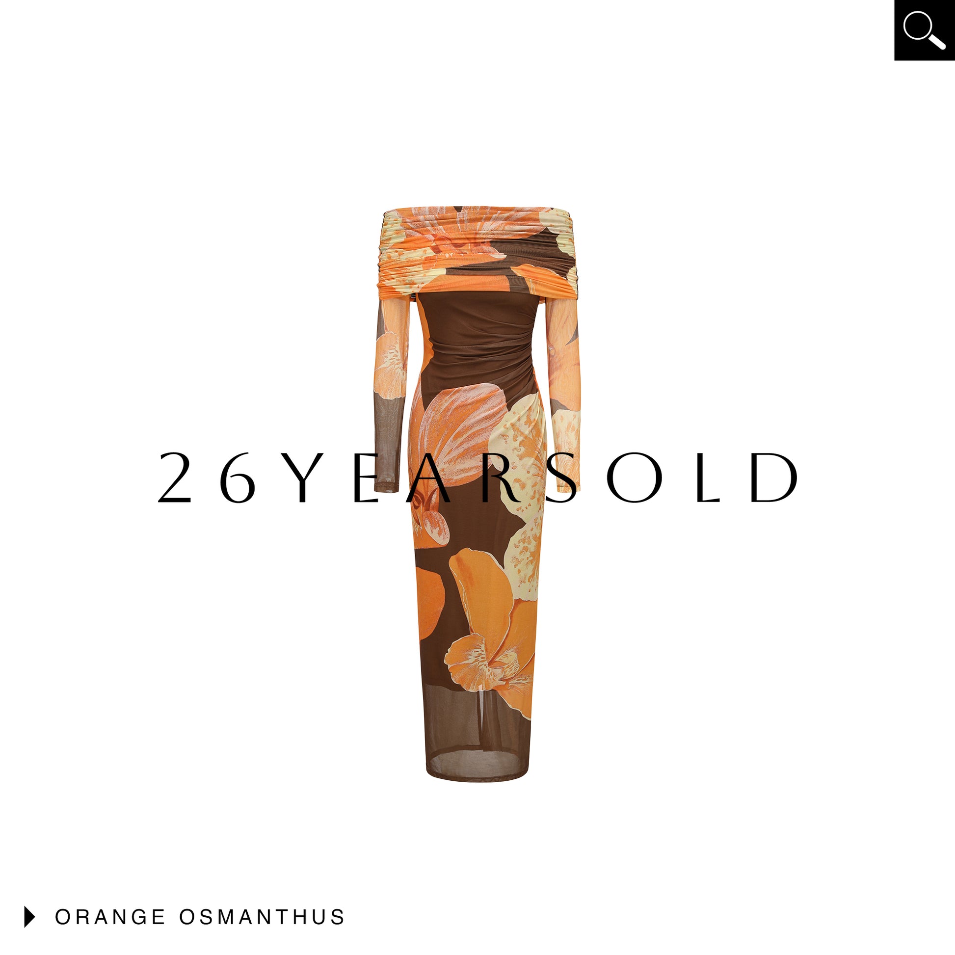 26ÉDITION Penumbral Dialogue