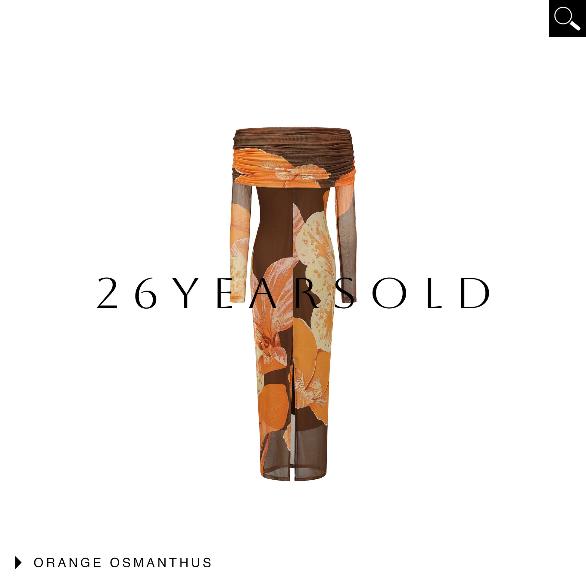 26ÉDITION Penumbral Dialogue