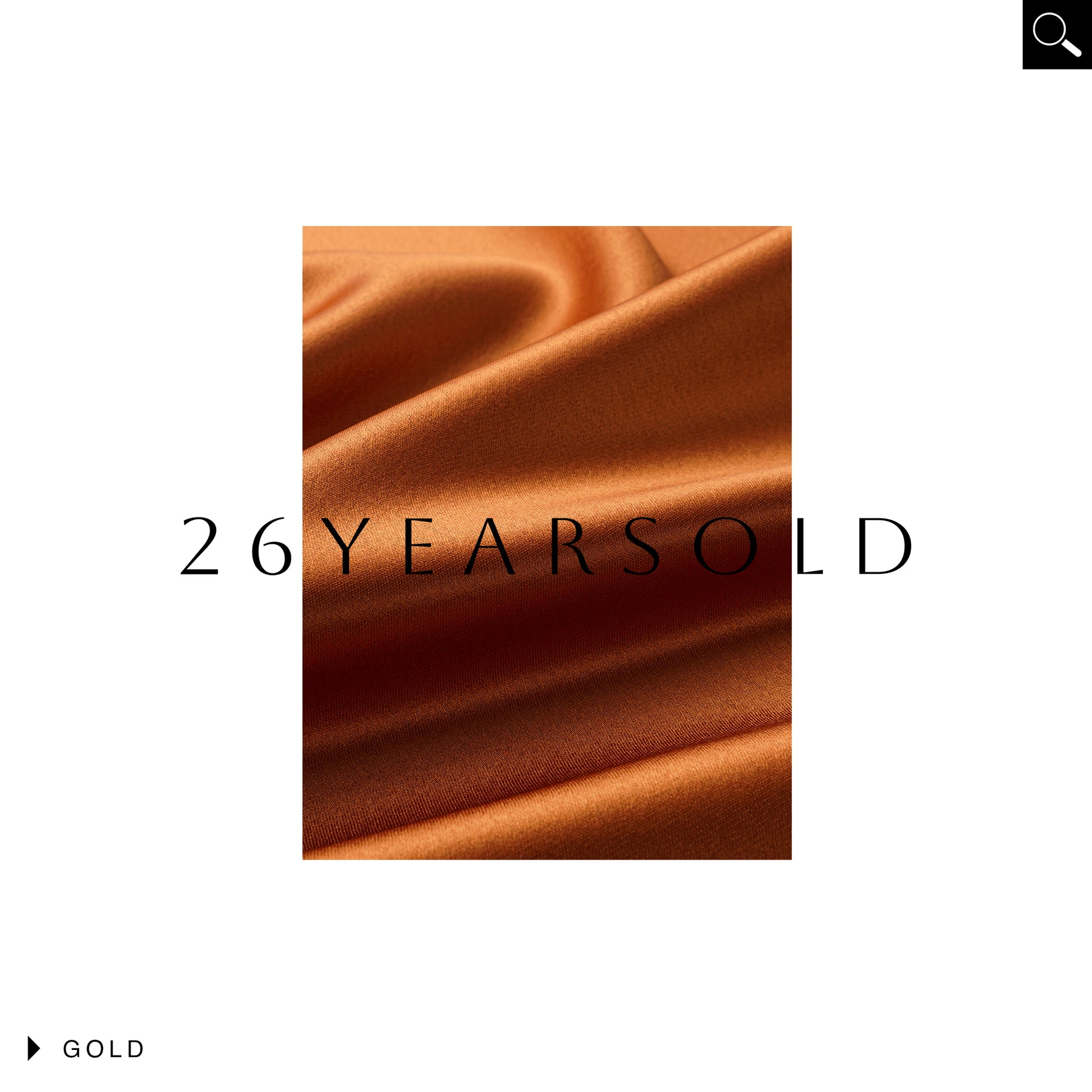 26YEARSOLD Gilded Sheen Nocturne Skirt
