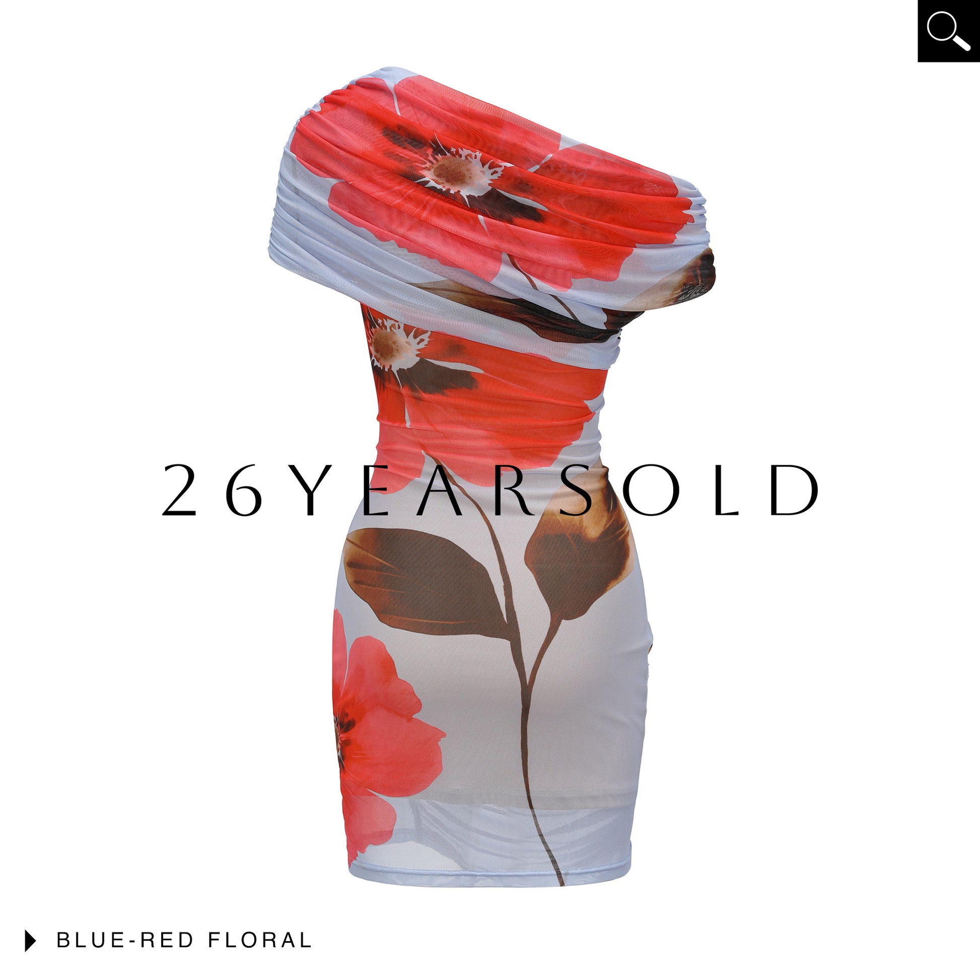 26YEARSOLD Vernal Undulation Dresse - Elegant Chiffon Dress