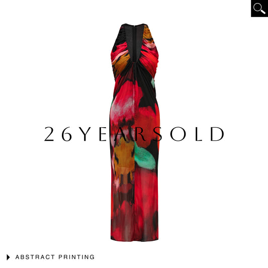26YEARSOLD Artistic Silk-Blend Deep V Neck Maxi Dress