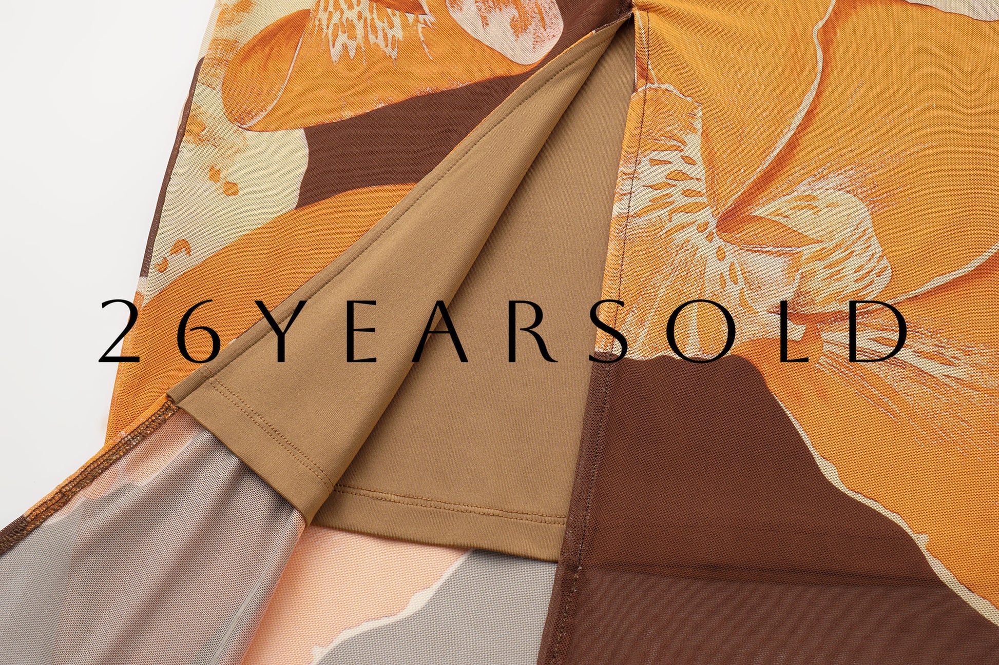 26ÉDITION Penumbral Dialogue